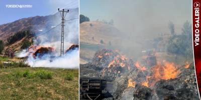 Yüksekova'da Yangın: 15 Bin Bağ Ot Kül Oldu