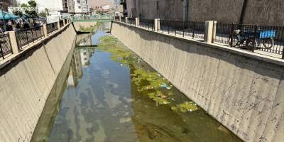 Yüksekova Çarşı Merkezi’ndeki Çay Deresi’ndeki Kirlilik Tepki Çekti