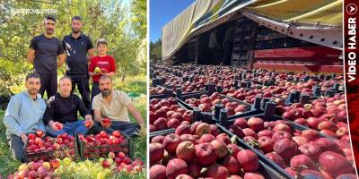 Yüksekova Elması Türkiye’nin Dört Bir Yanına Gönderiliyor