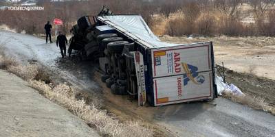 Esendere'de Yoldan Çıkan İran Tırı Devrildi: 1 Yaralı