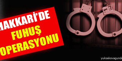 Hakkari'de 'fuhuş' operasyonu
