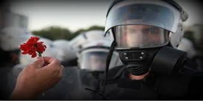 Karanfiller de Gözaltına Alınır