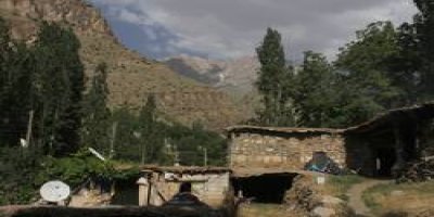 Ağaçdibi köyünde ağaç hassasiyeti..