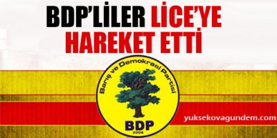 BDP'liler Lice'ye hareket etti