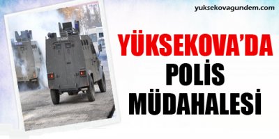 Yüksekova'da polis müdahalesi