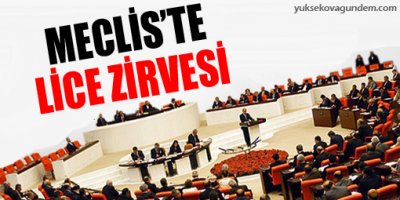 Meclis'te Lice zirvesi