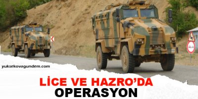 Lice ve Hazro'da operasyon