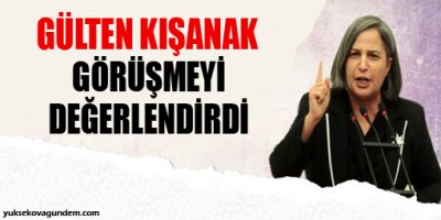 Kışanak görüşmeyi değerlendirdi