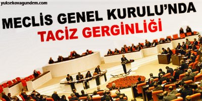 Meclis Genel Kurulu'nda taciz gerginliği
