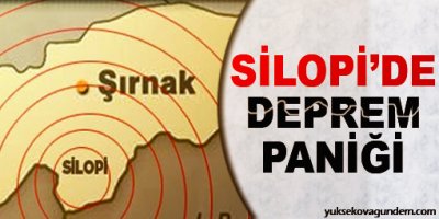 Silopi'de deprem paniği