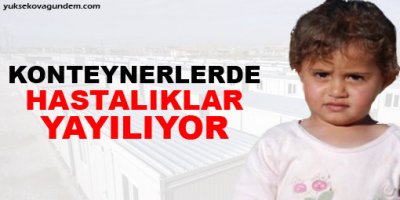Konteynerlerde hastalıklar yayılıyor!