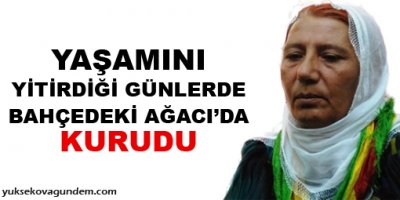 'Yaşamını yitirdiği günlerde bahçedeki ağacı da kurudu'