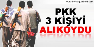 Bingöl'de 3 kişi kaçırıldı iddiası