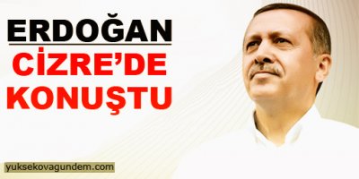 Başbakan Erdoğan Cizre'de konuştu