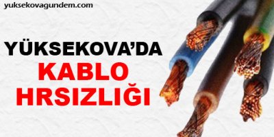 Yüksekova'da kablo hırsızlığı