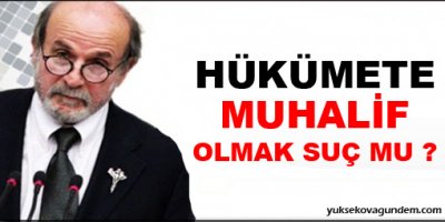 Hükümete muhalif olmak suç mu?