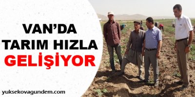 Van'da Tarım Hızla Gelişiyor