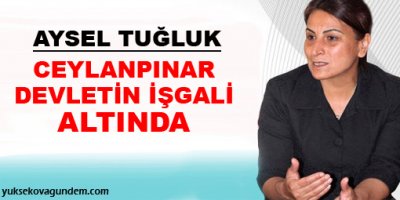 'Ceylanpınar devletin işgali altında'