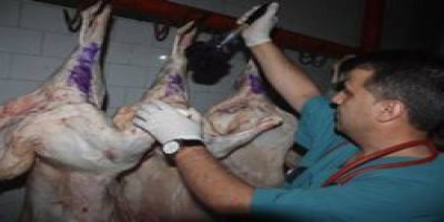 Mezbaha'da kesim denetimi