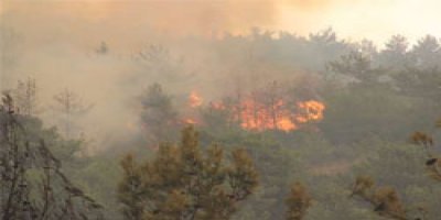 Cudi Dağı'nda yangın