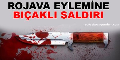 Rojava eylemine bıçaklı saldırı