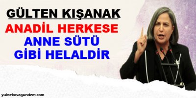 Kışanak: Anadil herkese anne sütü gibi helaldir
