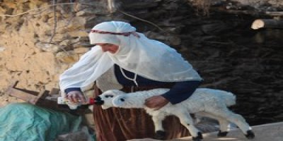 Fahriye teyze Kuzuyu biberonla besliyor