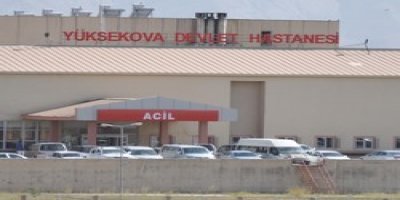 Yüksekova'da trafik kazası