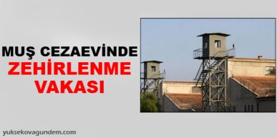 Muş Cezaevi'nde zehirlenme vakası