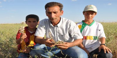 'Devlet düzenimizi bozmak istiyor'