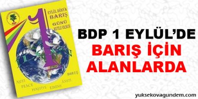 BDP 1 Eylül'de Barış İçin Alanlarda