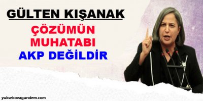 'Çözümün muhatabı AKP değildir'