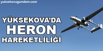 Yüksekova'da heron hareketliliği