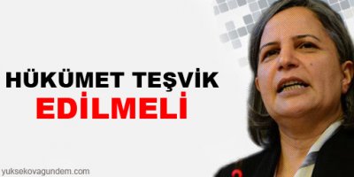 'Hükümet teşvik edilmeli'