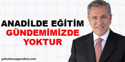 'Anadilde eğitim gündemimizde yok'