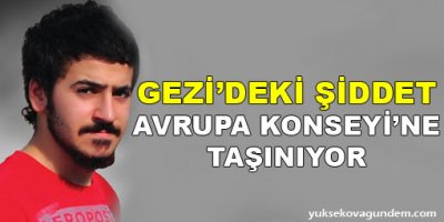 Gezi'deki şiddet Avrupa Konseyi'ne taşınıyor