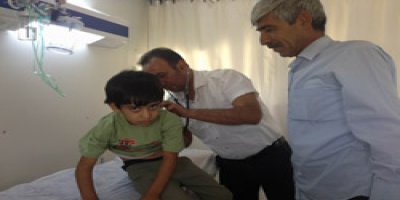 Cizre'de brucella hastalığı!