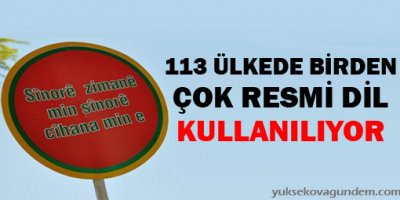 113 ülkede birden çok resmi dil kullanılıyor