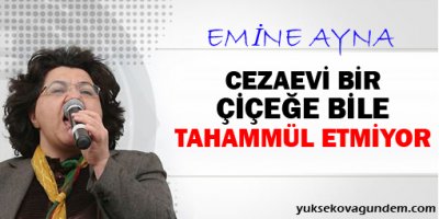 'Cezaevi bir çiçeğe bile tahammül etmiyor'
