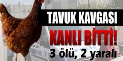 Adana'da, tavuk kavgası kanlı bitti