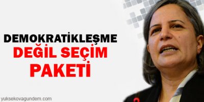 Demokratikleşme değil seçim paketi