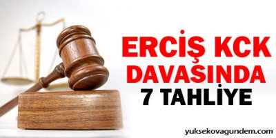 Erciş 'KCK' davasında 7 tahliye