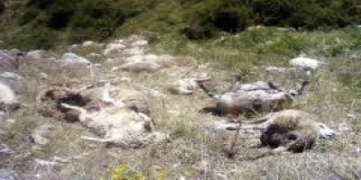 Van'ın Başkale ilçesinde patlama