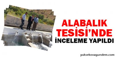 Alabalık tesislerinde inceleme