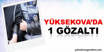 Yüksekova'da 1 Gözaltı