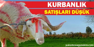 Kurban satıcıları: Eskisi kadar kazanmıyoruz