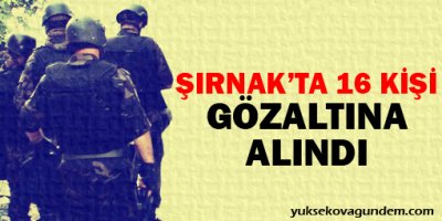 Şırnak'ta 16 kişi gözaltına alındı