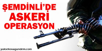 Şemdinli'de askeri operasyon