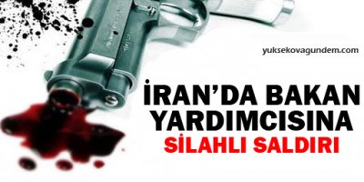 İran'da bakan yardımcısına silahlı saldırı