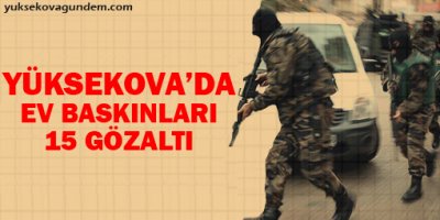 Yüksekova'da ev baskınları: 15 gözaltı